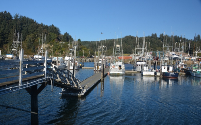 marina 